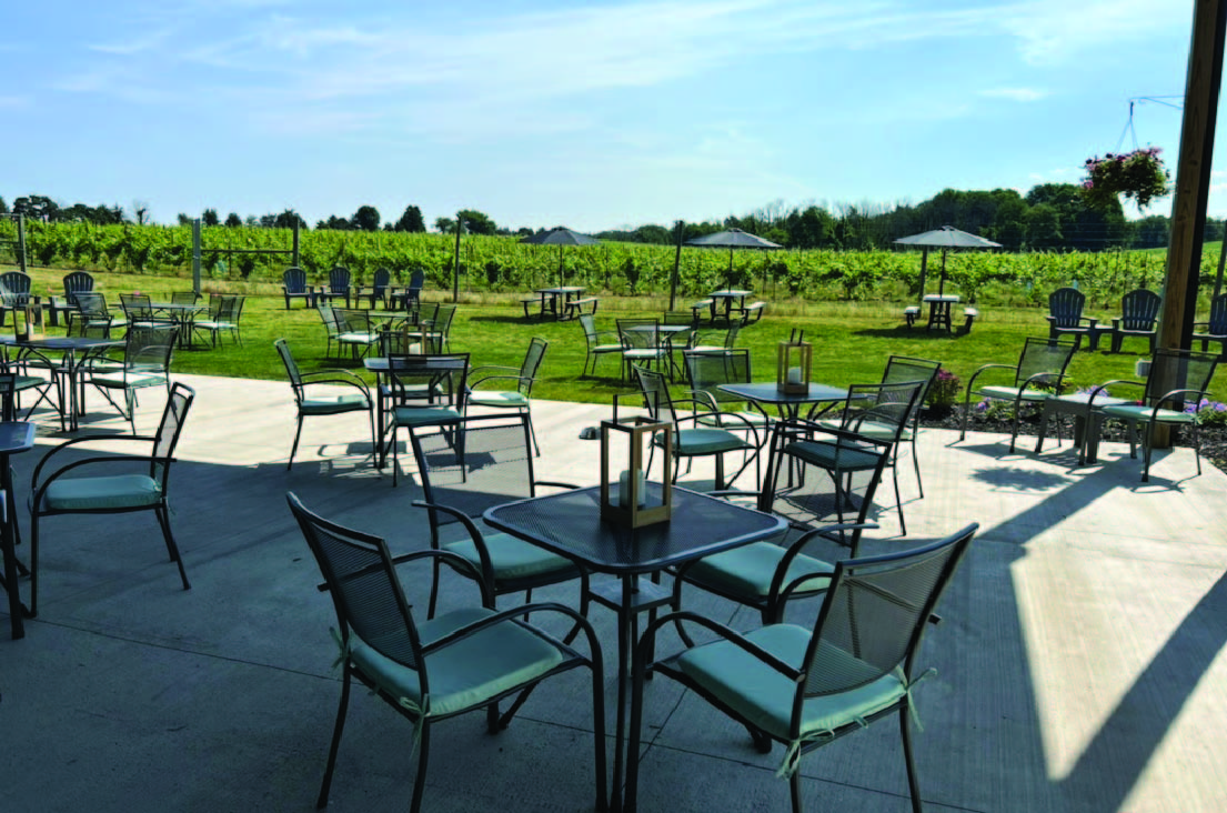 20_Deep_Vineyard 20 Deep Vineyard