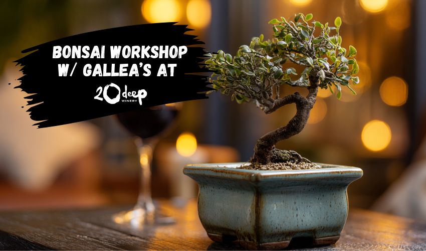 Bonsai Workshop with Galleas at 20 Deep Winery
